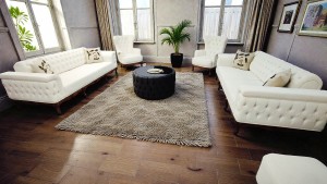 Pera Koltuk Takımı